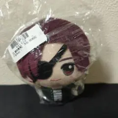 ウィンドブレイカー　 蘇枋隼飛 ちびぐるみ　ぬいぐるみ　マスコット