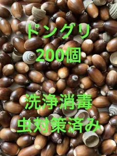 花影夜叉様 リクエスト 2点 まとめ商品