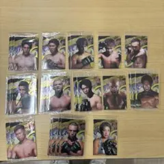 Item thumbnail for item b561b68a-08cb-4efd-9d64-3f59cae51996