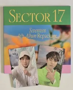 SECTOR 17 ウォヌ バーノン