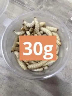 Item thumbnail for item 990237ec-e0e5-4528-9b74-1a7a5a0d078d