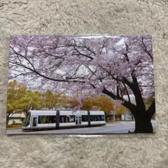 広島電鉄 ポストカード　四季