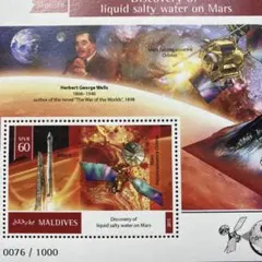 37214現品限り　外国切手未使用　モルジブ発行宇宙限定印刷小型シート