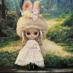 hosi08pd様専用〉ブライスアウトフィット 着ぐるみうさちゃん - メルカリ