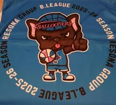 佐賀バルーナーズ バスケットボール