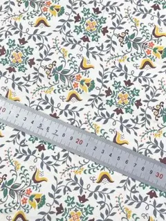 Item thumbnail for item b8ac199b-0280-4fc6-93e0-de09756bae06