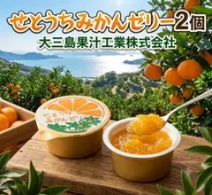 せとうちみかんゼリー 2個セット＊瀬戸内 柑橘スイーツ 爽やか お試し 大三島のサムネイル