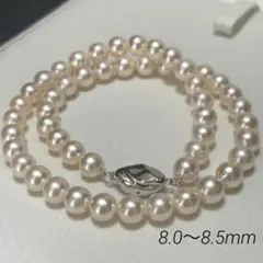 【テリ強/大珠✨】あこや 本真珠 パール ネックレス 8.0〜8.5mm 干渉色