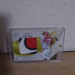 2025年最新】鈴木誠也 パッチカードの人気アイテム - メルカリ