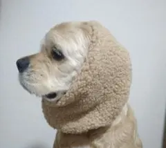 犬用スヌード　ペットスヌード　アメリカンコッカースパニエル　キャバリア　お散歩耳