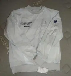 Item thumbnail for item dbc07572-1764-4e1c-ab15-8fd621840bc2