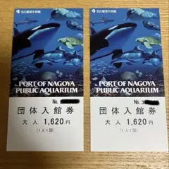 名古屋港水族館入館券 大人　2枚のサムネイル