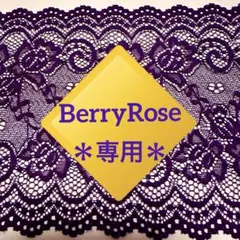 ＊あっち様　専用