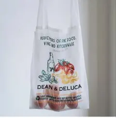 DEAN & DELUCA 　Brigitte Tanakaオーガンジーバッグ