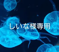 しいな様専用
