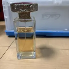 VICE VERSA YSL 香水 新品 kousuibatake1_3365440083073