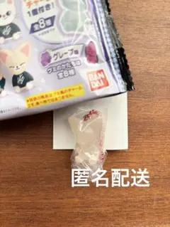 StrayKids スキズ SKZOO グミ&チャーム フォクシニー アイエン