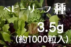 Paris⭐️様 専用のサムネイル