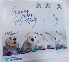 鳥羽水族館 70周年 ラッコ チラシ フライヤー キラ メイ ポスター