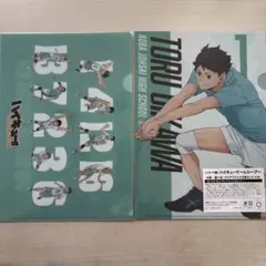 Item thumbnail for item 67a010ed-65aa-47ab-bbee-af305150cb63