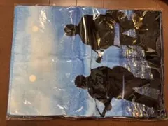 【新品・未使用】ゆず 弾き語りアリーナツアー 2026 心音タオル