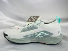 新品 27cm ナイキ PEGASUS TRAIL 5 GTX ゴアテックスのサムネイル