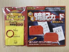 Item thumbnail for item 9fd1ee28-7e45-4ac7-aa82-8060f58026a1