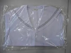 Item thumbnail for item f4215f0f-e552-4637-905d-ab73cb879031