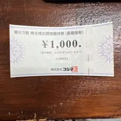 株式会社コジマ 株主優待券 ¥1,000 ビックカメラでも使えます