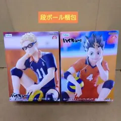 ハイキュー!! ぬーどるストッパーフィギュア ２点セット