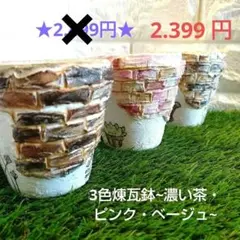作家鉢 リメ鉢 モルタル造形 デコパージュ　植木鉢 多肉植物 作家鉢 リメ鉢 モルタル造形 デコパージュ 植木鉢 多肉植物 - メルカリ