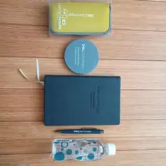 Item thumbnail for item c6607025-8409-4c51-bb75-0295a3702f4f