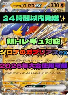 ユッキー様 リクエスト 2点 まとめ商品