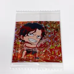 ワンピース ウエハース シール ポートガス・D・エース