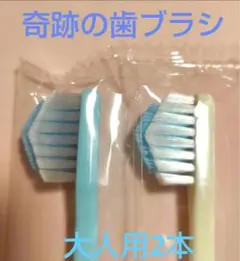 2025年最新】奇跡の歯ブラシの人気アイテム - メルカリ
