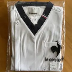 Item thumbnail for item 68ec6ee8-760f-4445-b19b-3ff18250973d