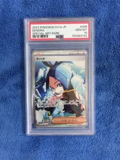 2026年最新】キハダ sar psa10の人気アイテム - メルカリ