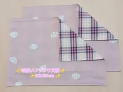 新品ランチョンマット2枚セット《No.G33》