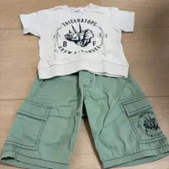 最終値下げ　 BUZZ FUZZトリケラトプス Tシャツとショートパンツ セット