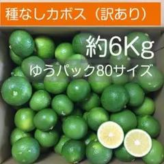 chococo 様専用_【訳あり品】種なしカボス　約6Kg