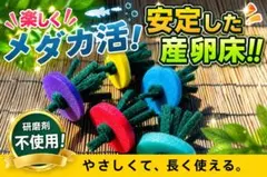 めだか メダカの産卵床 6色計50個 研磨材なし - メルカリ