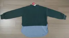 Item thumbnail for item 9c0a686a-4ba7-4346-bc8d-f87951a4d12b