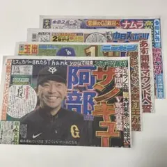 Item thumbnail for item 4acc783c-c737-4397-af5a-73c726fa97a5