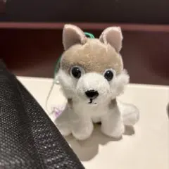 2026年最新】もふっとオオカミの人気アイテム - メルカリ