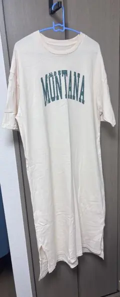 Item thumbnail for item 71a729e8-2ec5-4713-89e0-249f0f36a63e