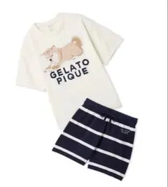 限定 GELATO PIQUE 柴犬 ルームウェア上下 ジェラートピケ