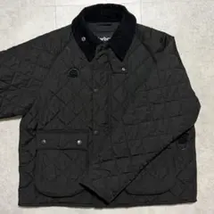 Item thumbnail for item 59c6c405-d16b-4279-bb7d-26a358c5d92c