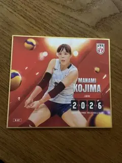バレーボール女子日本代表2026 トレーディングmini色紙 岩澤実育