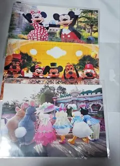 東京ディズニーリゾート 2Lフォト イマジニングザマジック 3枚 旧フェイス