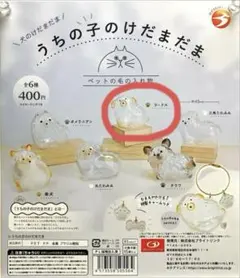 [新品] うちの子のけだまだま　プードル